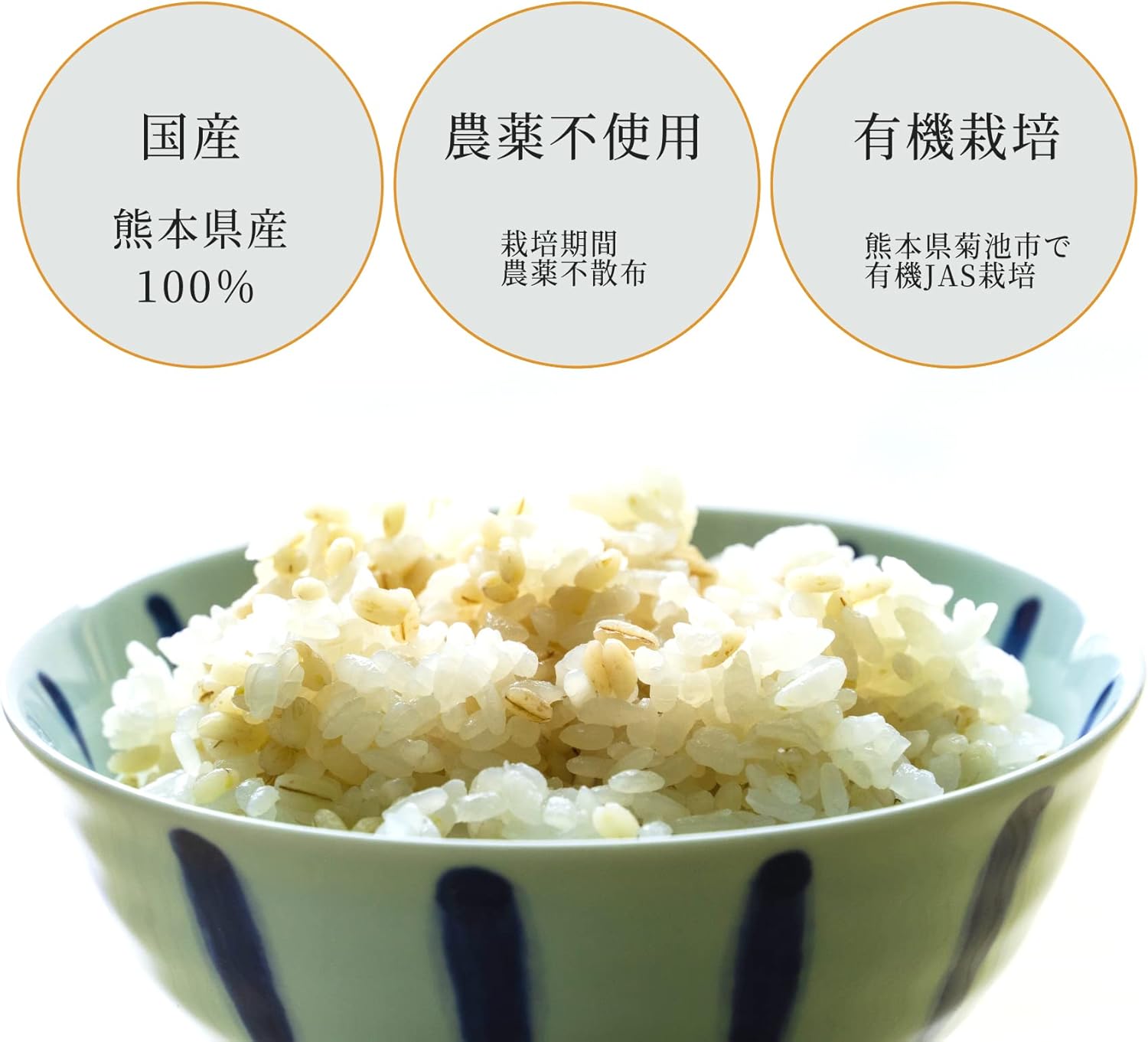 高野さんちの農産物 有機農場 高野さんちの無農薬・無化学肥料栽培もち麦 300g 画像2