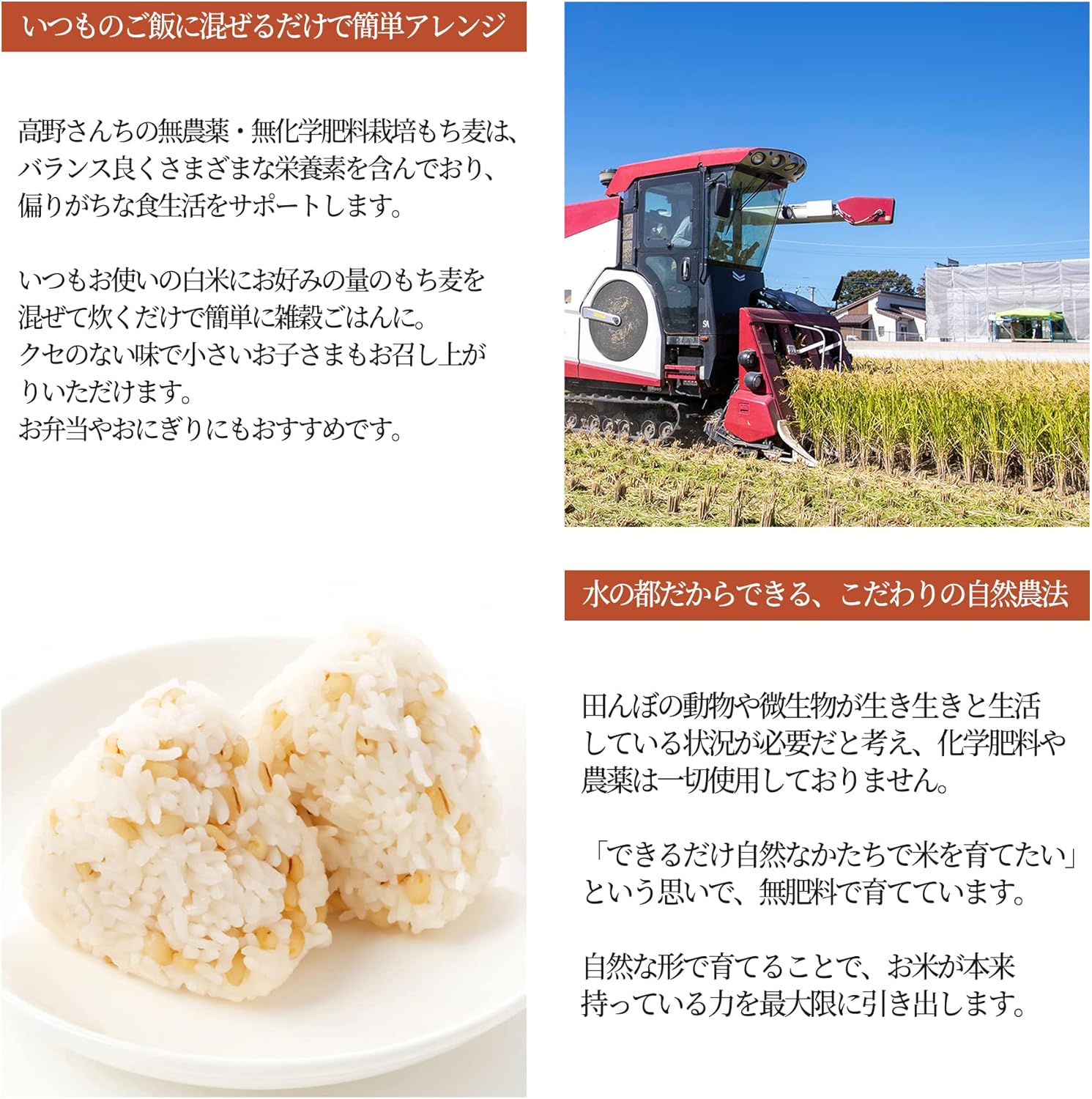 高野さんちの農産物 有機農場 高野さんちの無農薬・無化学肥料栽培もち麦 300g 画像3