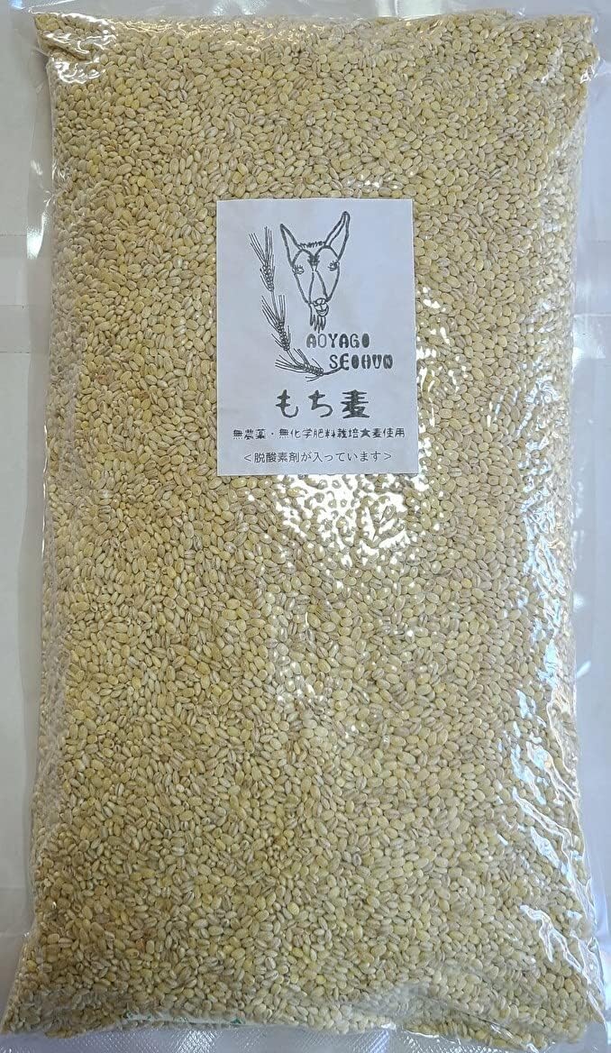 もち麦 4.2kg 国産 無農薬・無化学肥料栽培大麦 もち絹香 栃木県産