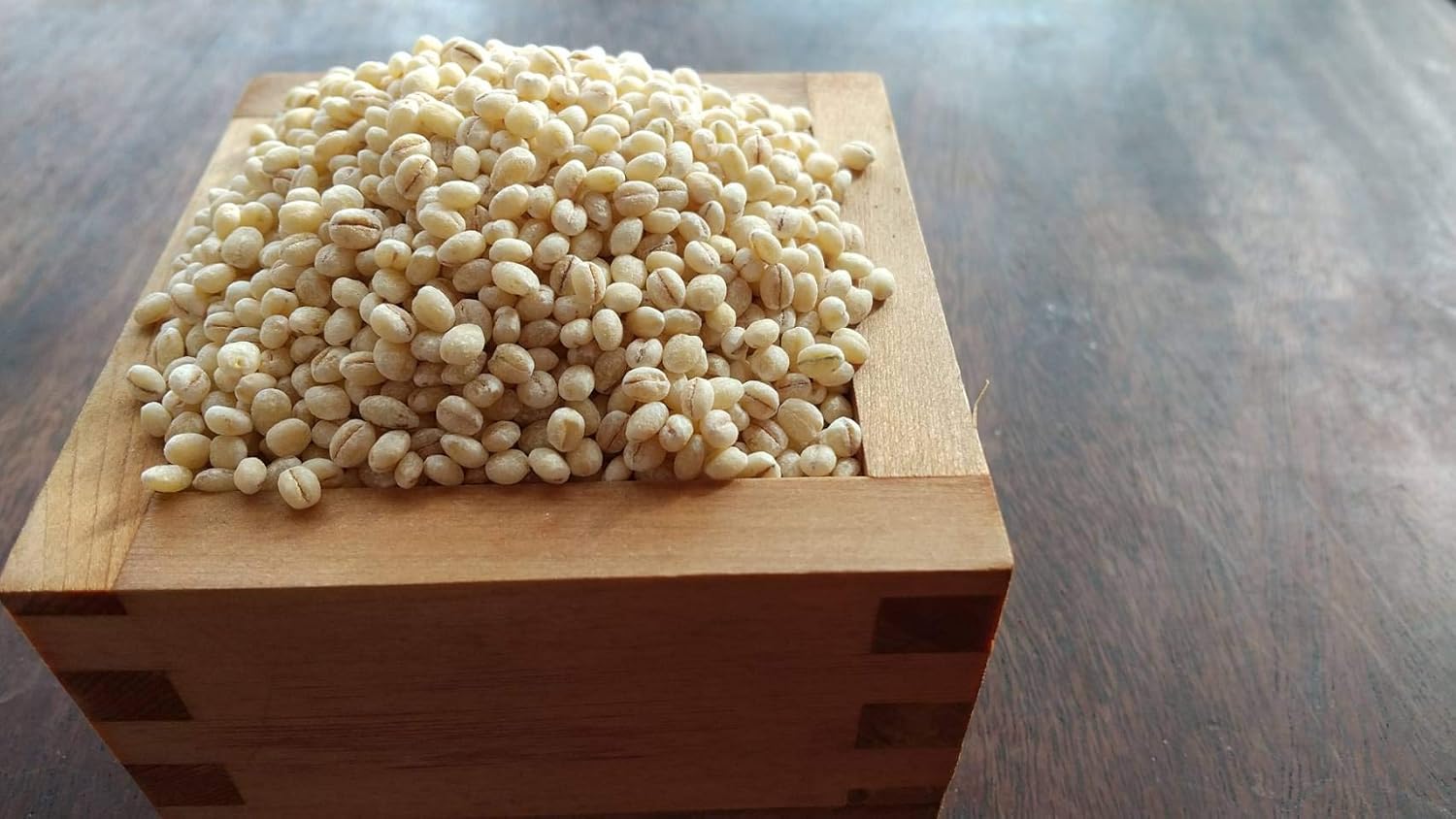 もち麦 4.2kg 国産 無農薬・無化学肥料栽培大麦 もち絹香 栃木県産 画像2