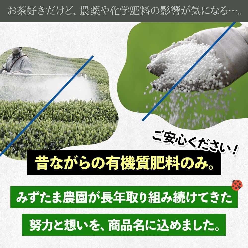 みずたま農園 農薬も化学肥料も使わないで育てたお茶 緑茶 ティーバッグ 2.5g×50p 【農薬不使用 化学肥料不使用 水出し お湯出し ティーパック】（パック 農不緑TB） 画像3