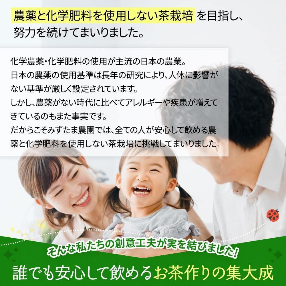 みずたま農園 農薬も化学肥料も使わないで育てたお茶 緑茶 ティーバッグ 2.5g×50p 【農薬不使用 化学肥料不使用 水出し お湯出し ティーパック】（パック 農不緑TB） 画像4