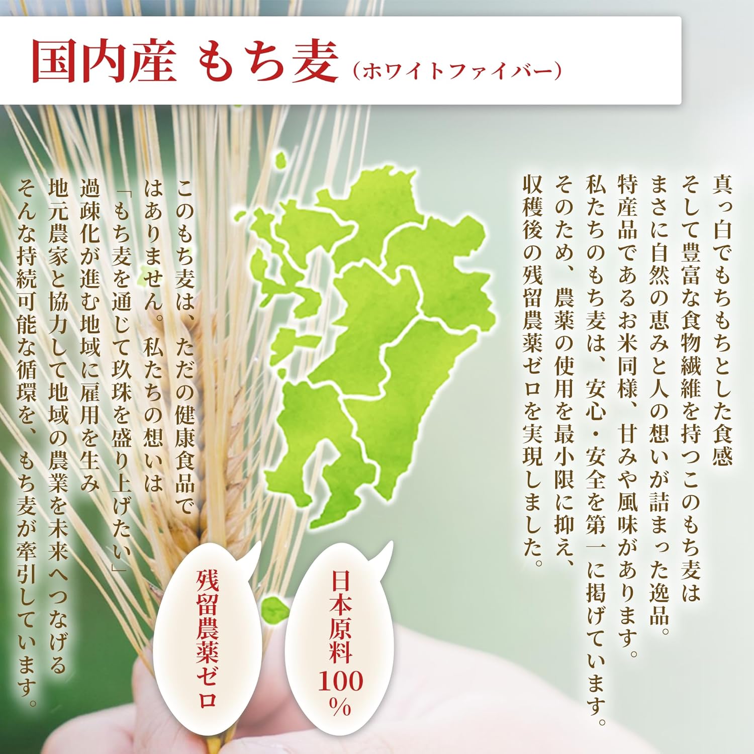 残留農薬ゼロ 国内産もち麦 1.5kg×2袋(3.0kg) 国産 ホワイトファイバー 画像3