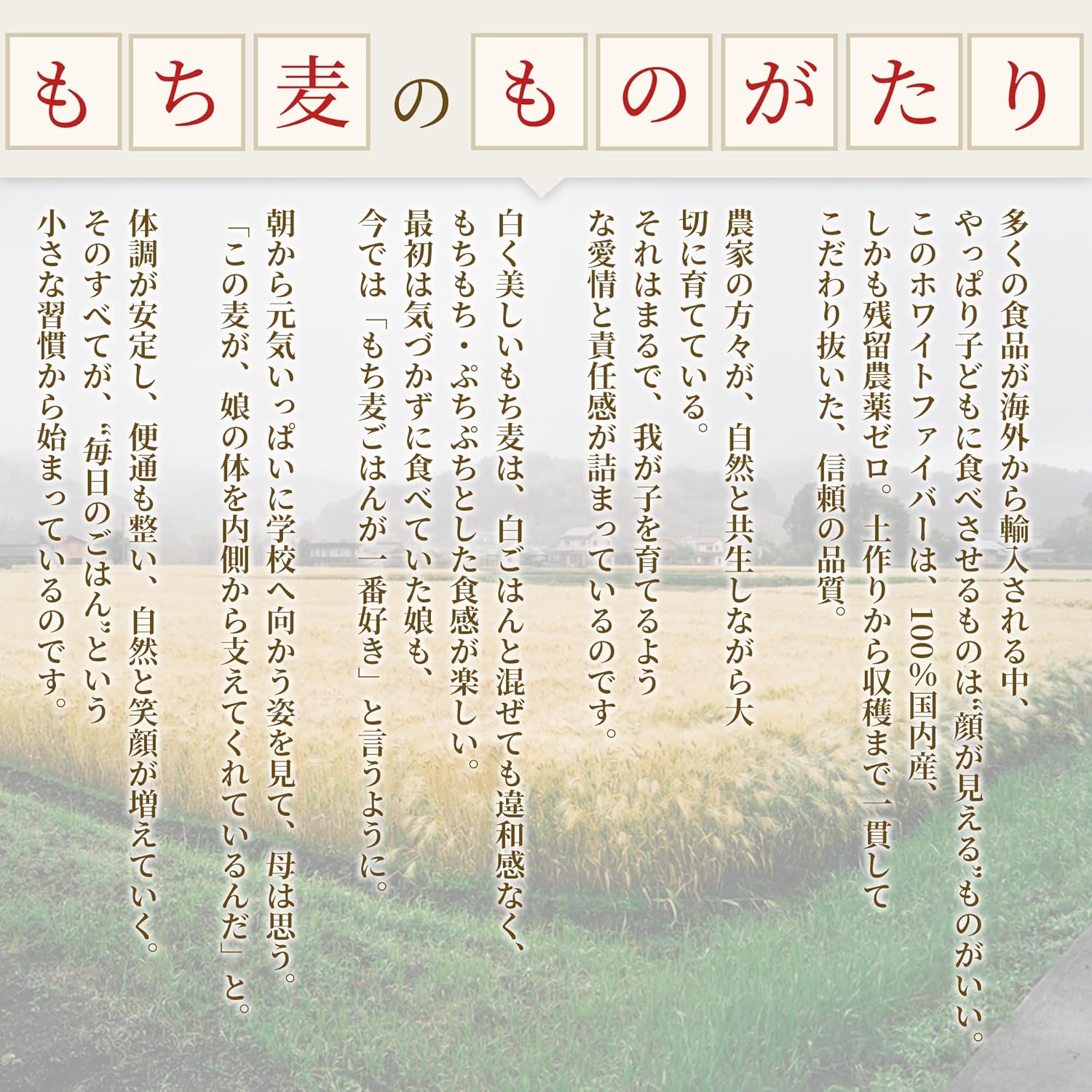 残留農薬ゼロ 国内産もち麦 1.5kg×2袋(3.0kg) 国産 ホワイトファイバー 画像5
