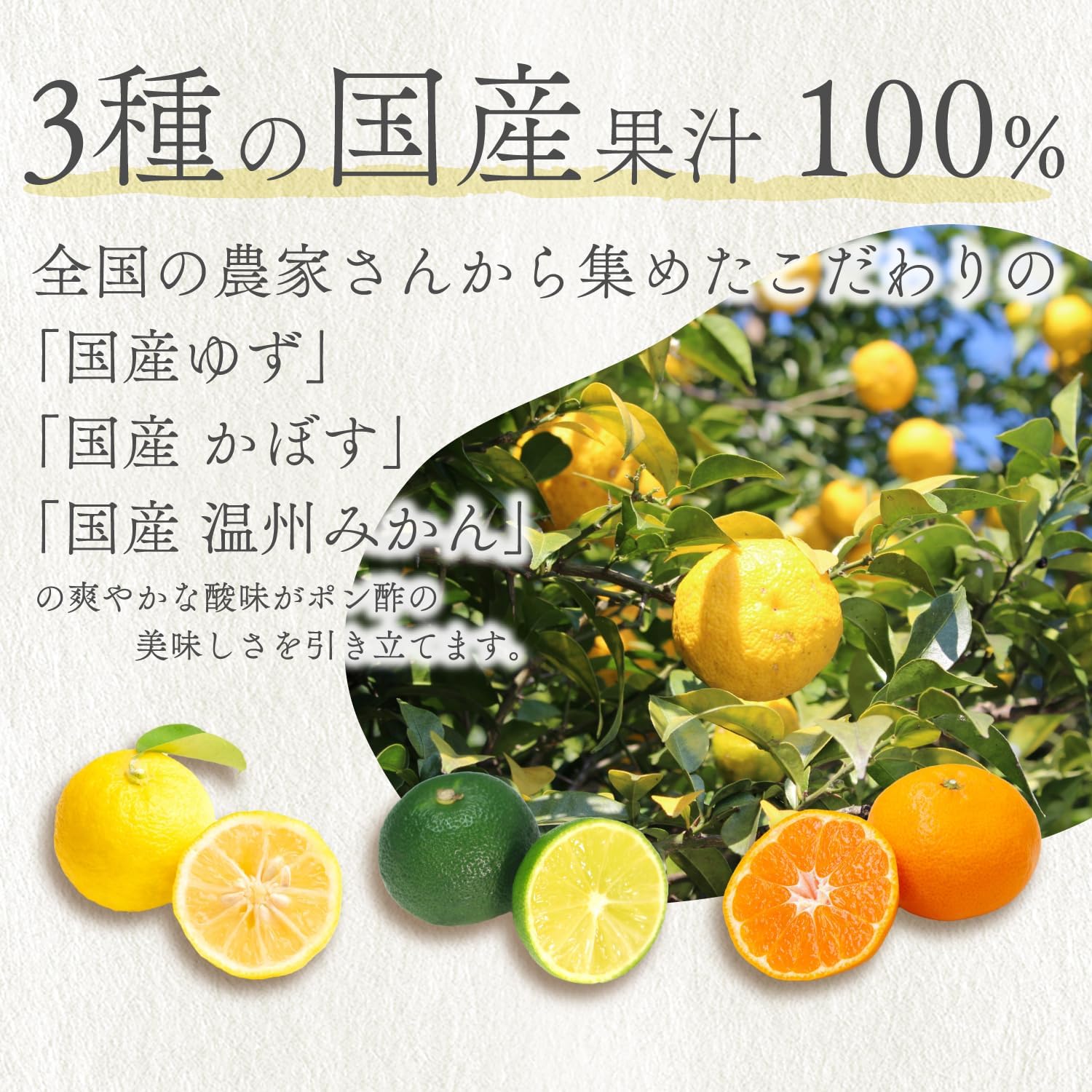 40%減塩 無添加 塩ぬき屋 極ぽん酢 3種の国産果汁100% 355ml 国内製造 減塩ポン酢 低塩 (1本) 国内製造 国産ゆず 国産かぼす 国産温州みかん 画像4