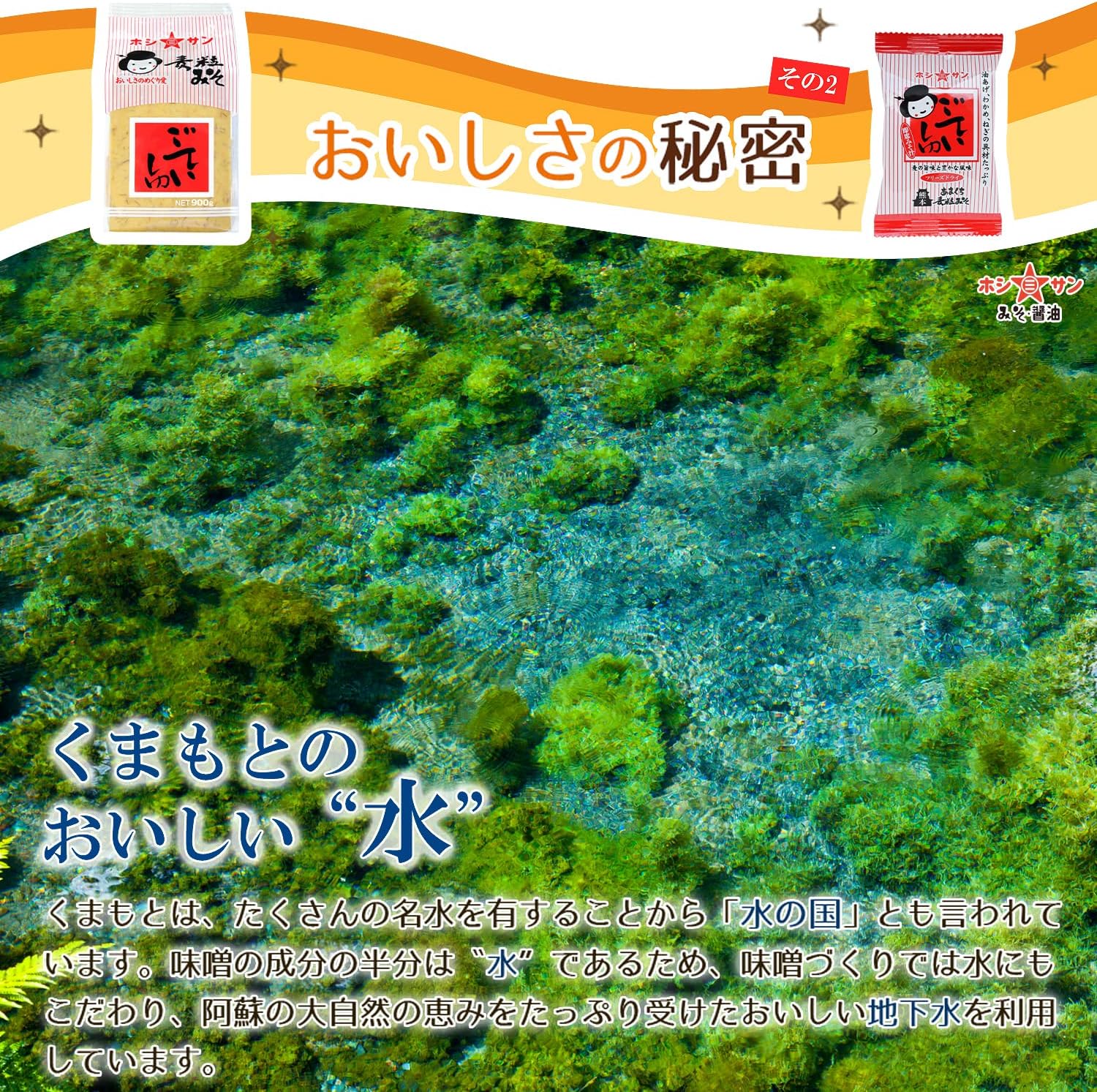 【ホシサン】ごていしゅ 味噌 (新800g 単品) 九州 麦みそ 甘口 麦味噌 麹たっぷり 熊本伝統の麦粒みそ【塩分控えめ】 画像4