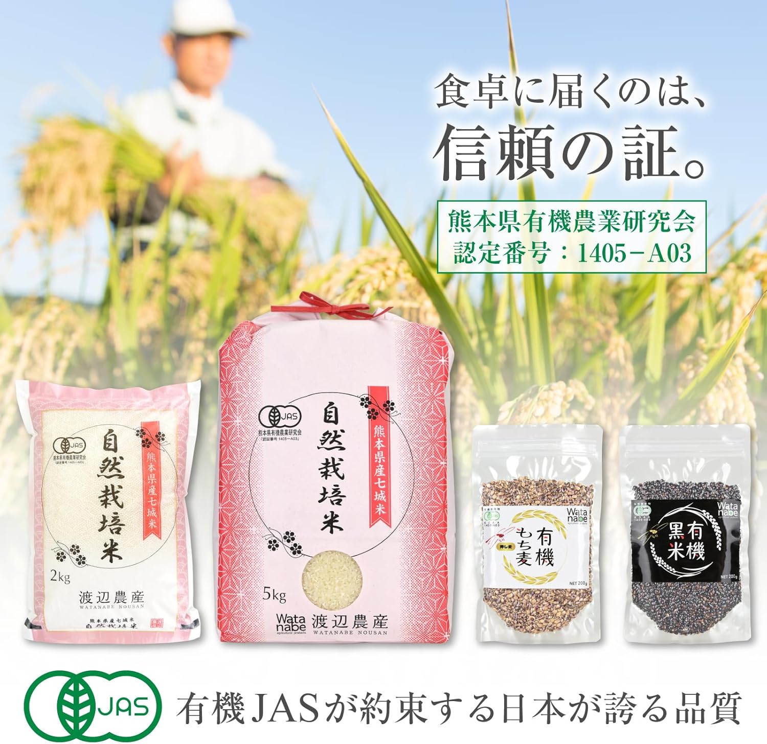 【もち麦,200g】ダイシモチ 有機JAS認証 熊本県産 β-グルカン 食物繊維 健康維持 満腹感 混ぜて炊くだけ オーガニック 画像5